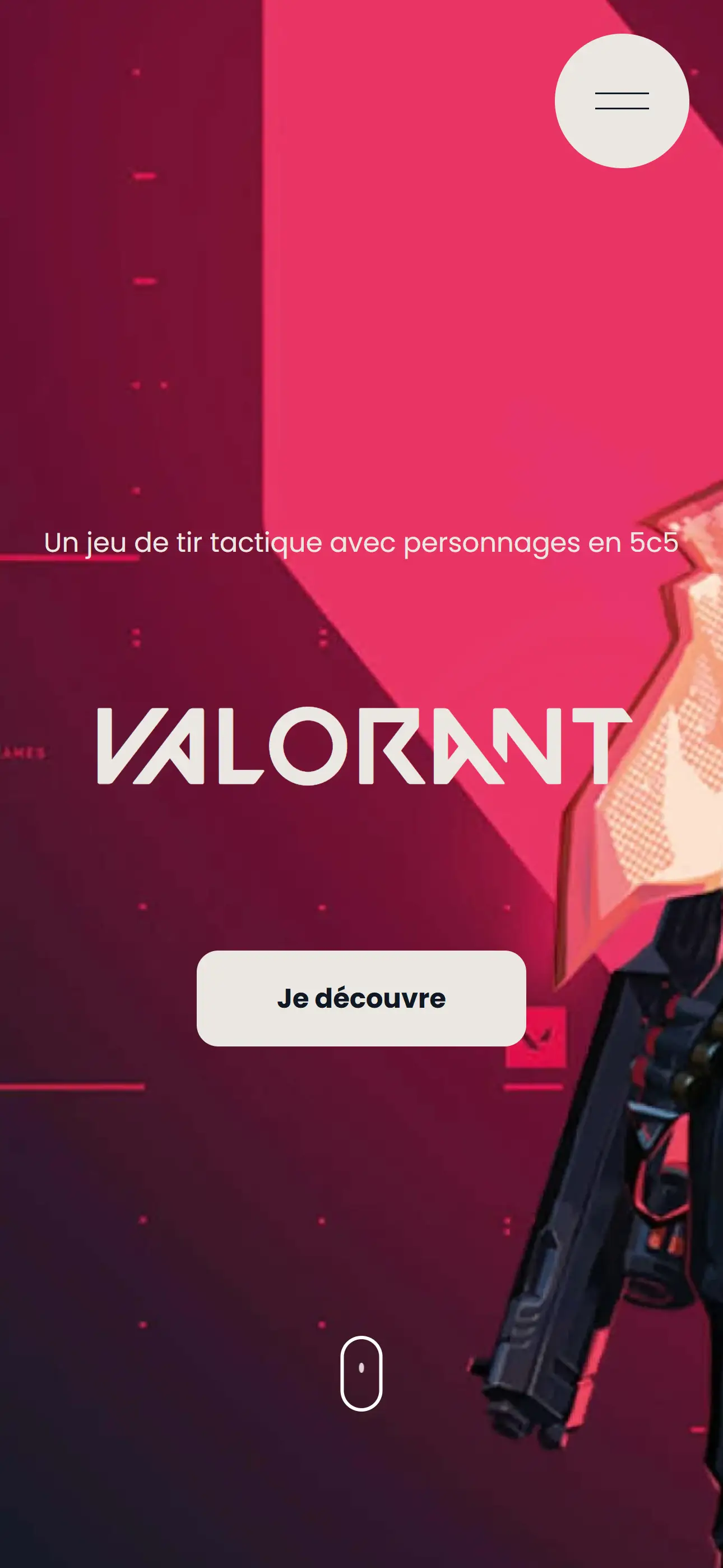 Valorant API